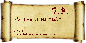 Tölgyesi Máté névjegykártya